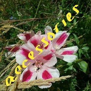 All kinds of accessories